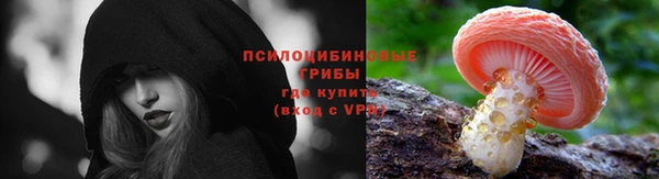 прущие крисы Алексеевка