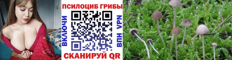 Псилоцибиновые грибы ЛСД  кракен ССЫЛКА  Анадырь  как найти наркотики 